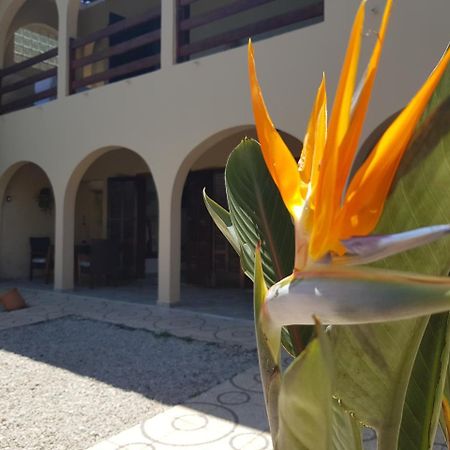Santo Quintal Hostel Убатуба Екстериор снимка